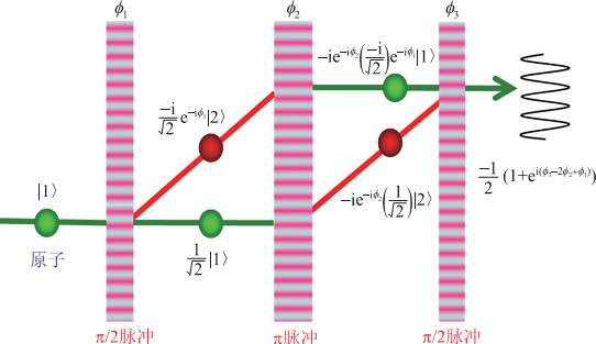 探测既“死”又“活”的原子，原子的状态是量子随机的，测量次数越多，比值越接近1：1。