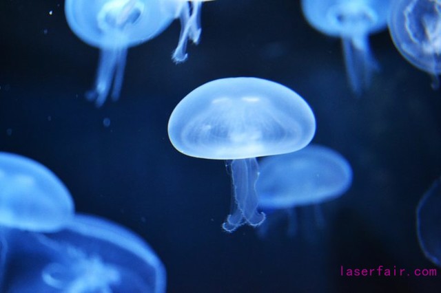 紫外线3D打印新应用：制造软体机器人
