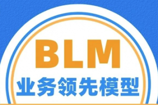 从战略到执行:业务领先模型 BLM 战略咨询「战略意图